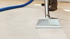 Carpet cleaning wand head gliding over a light carpet during hot-water extraction, Cincinnati, OH.