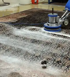 Professional rug cleaning with a rotary floor machine and shampoo foam, deep-cleaning an area rug Cincinnati, OH.